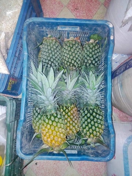 joldugi-pineapple