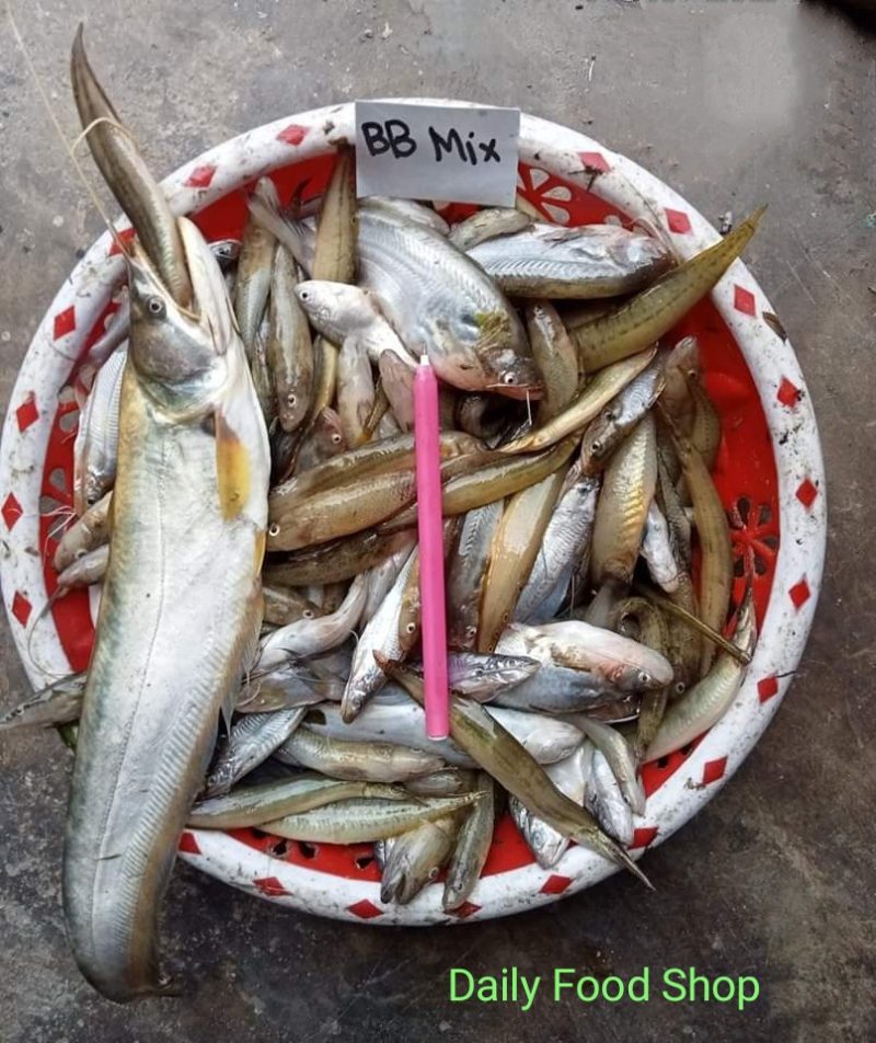 mix fish haor baor river নদী হাওর বাওর মিক্স মাছ